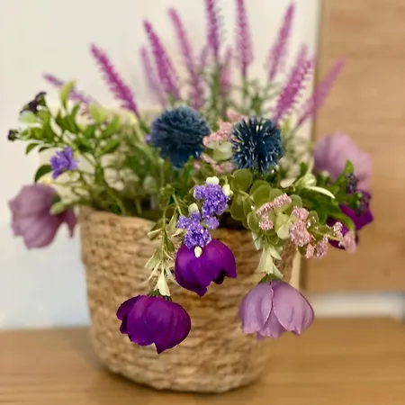 Aloha T Apartament Porriño